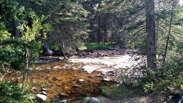 Lincoln Park Campground Picture 6