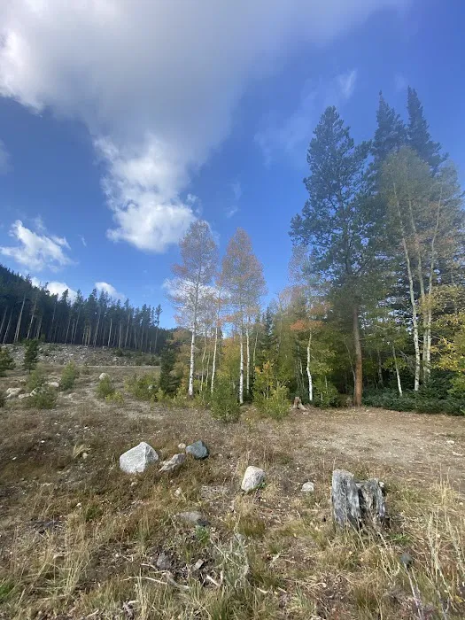 Libby Creek Willow Campground Picture 6