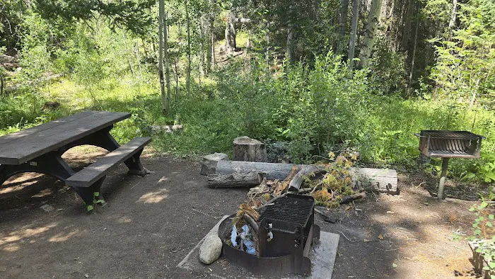 Libby Creek Willow Campground Picture 3