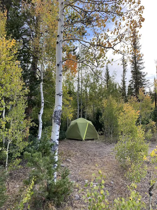 Libby Creek Willow Campground Picture 10