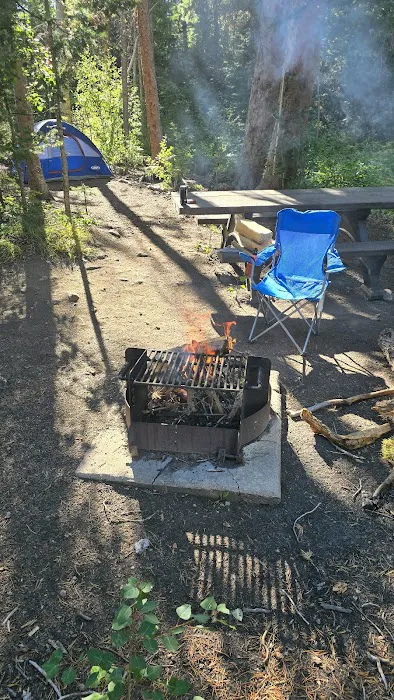 Libby Creek Willow Campground Picture 4