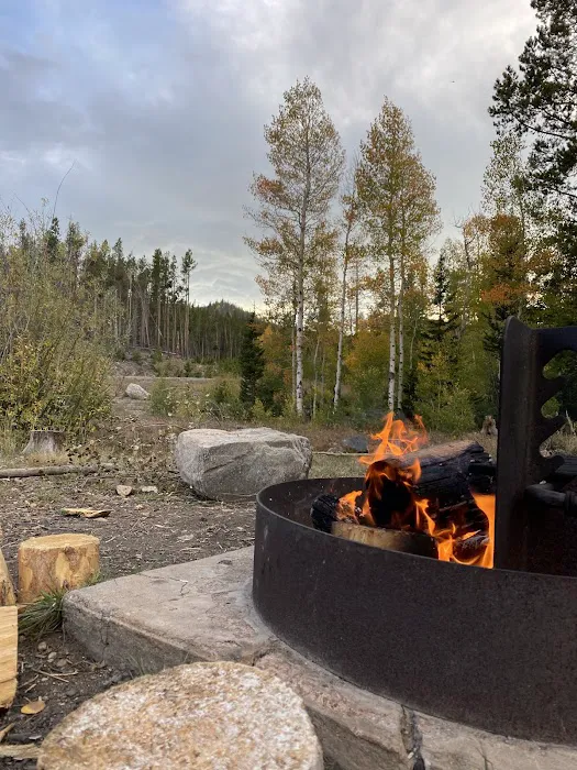 Libby Creek Willow Campground Picture 2