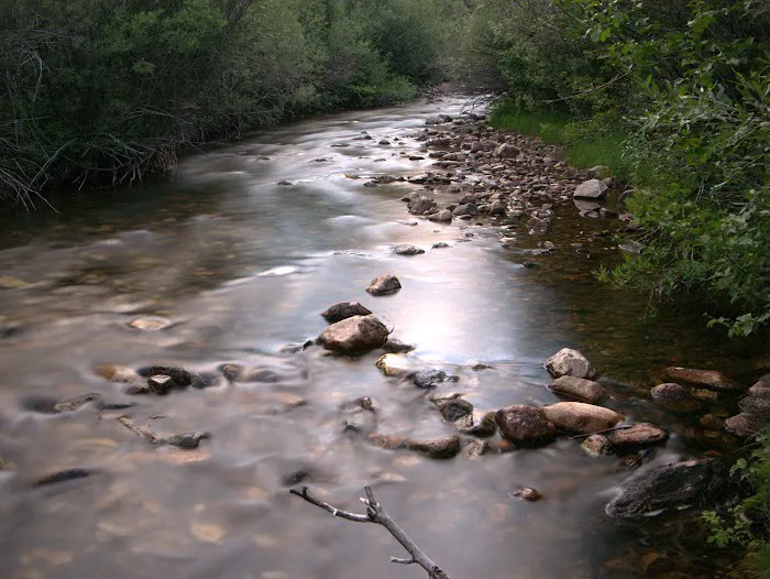 Libby Creek Willow Campground Picture 7