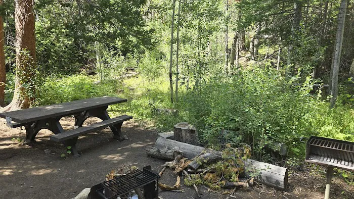 Libby Creek Willow Campground Picture 1
