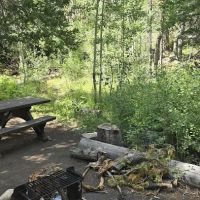 Libby Creek Willow Campground ico
