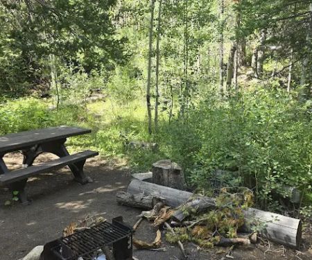 Libby Creek Willow Campground