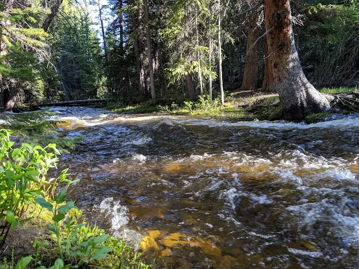 North Fork Campground Picture 1