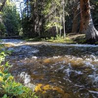 North Fork Campground ico