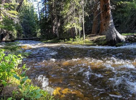 North Fork Campground