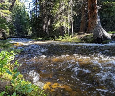North Fork Campground