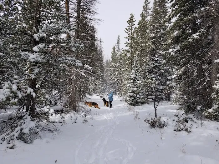 North Fork Campground Picture 3