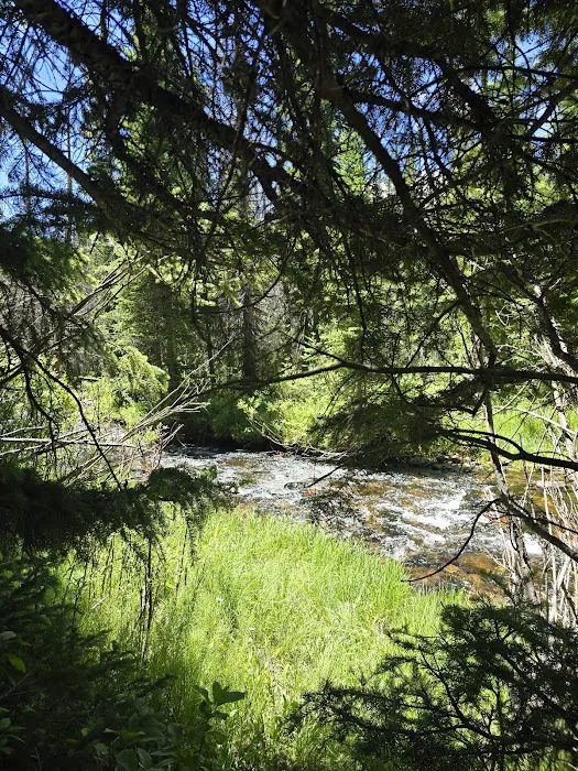 North Fork Campground Picture 10