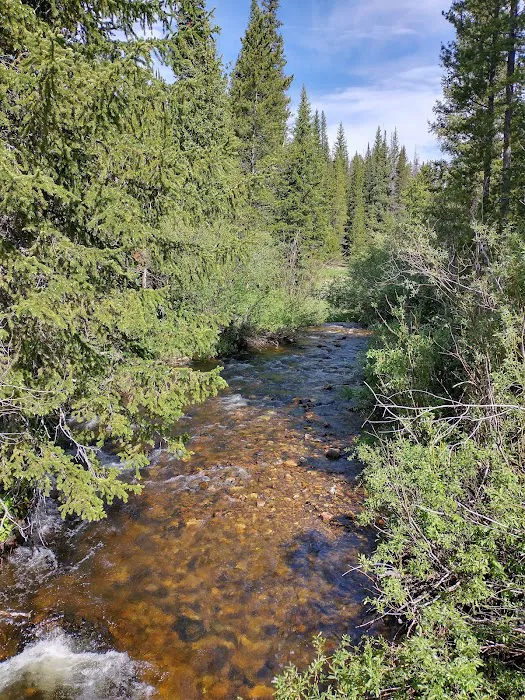 North Fork Campground Picture 6