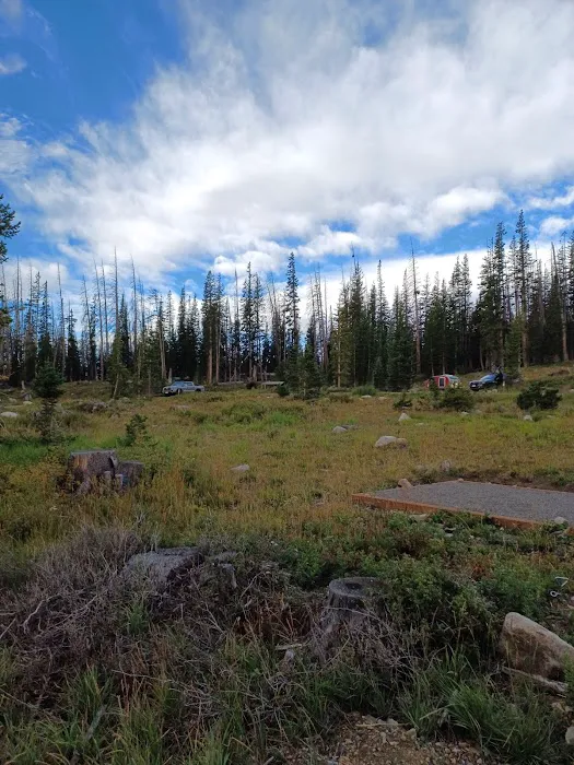 Nash Fork Campground Picture 2