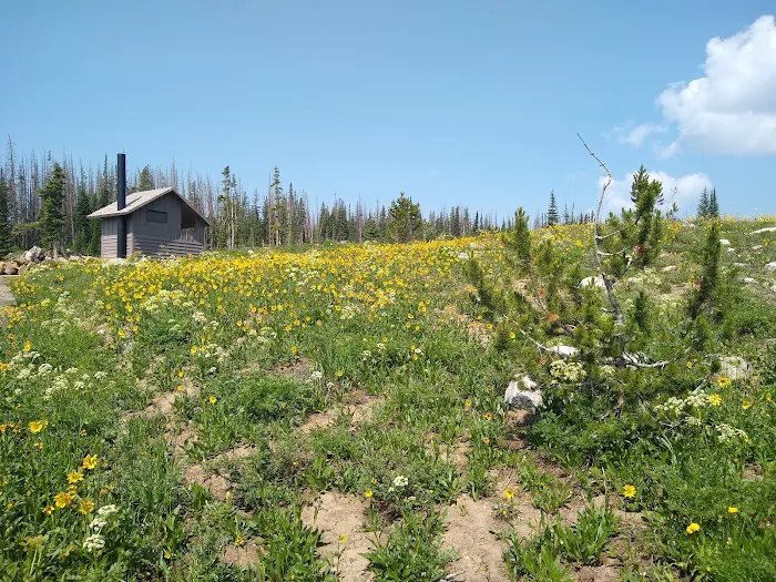 Nash Fork Campground Picture 4