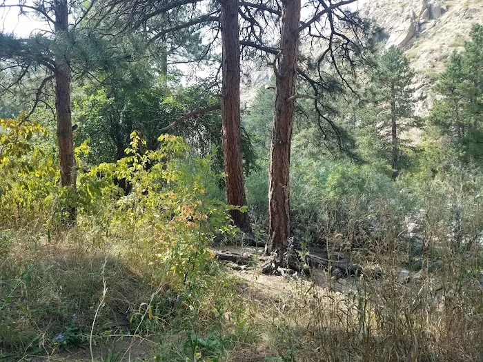 Ansel Watrous Campground Picture 6
