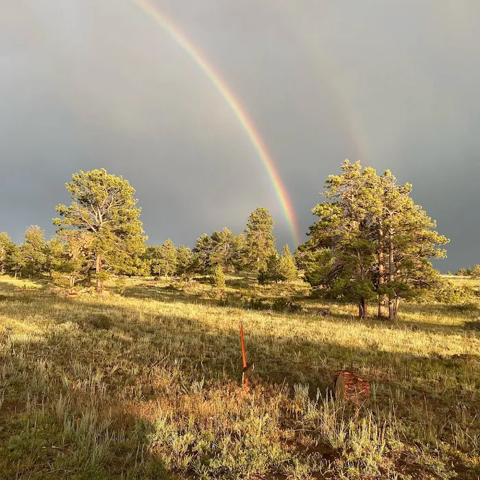 Logan Ranch Inc Picture 1