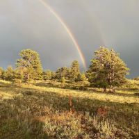 Logan Ranch Inc ico