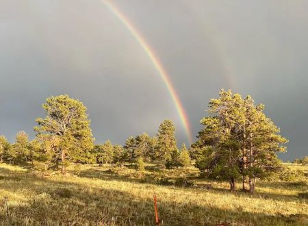 Logan Ranch Inc