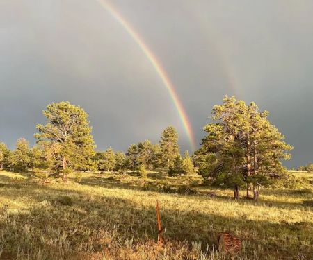Logan Ranch Inc