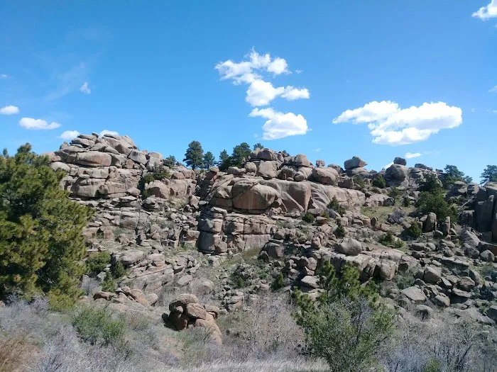 Logan Ranch Inc Picture 3