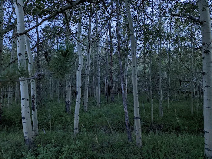 Vedauwoo Tent Campground Picture 6