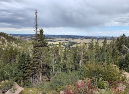Horse Campground