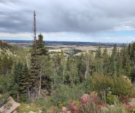 Horse Campground