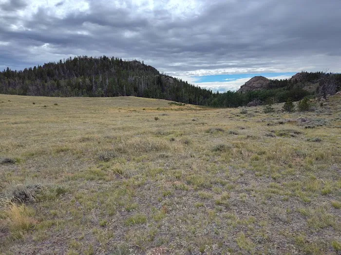 Horse Campground Picture 2