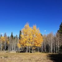 Tie City Campground ico