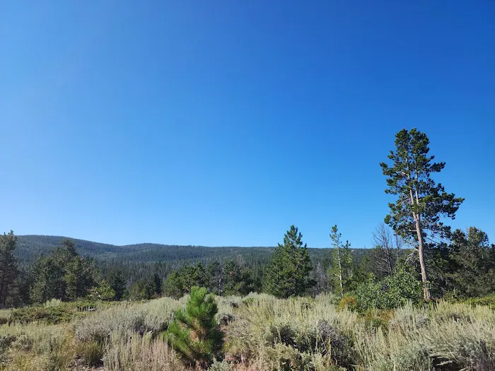Yellow Pine Campground Picture 8