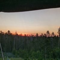 Yellow Pine Campground ico