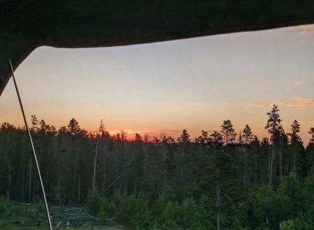 Yellow Pine Campground