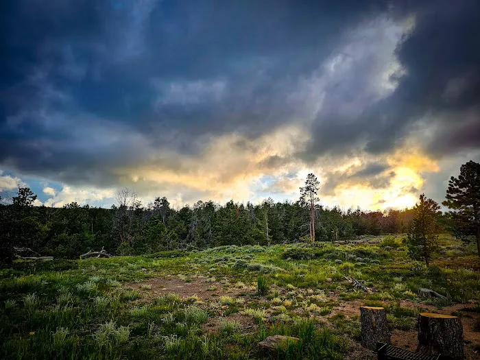 Yellow Pine Campground Picture 7