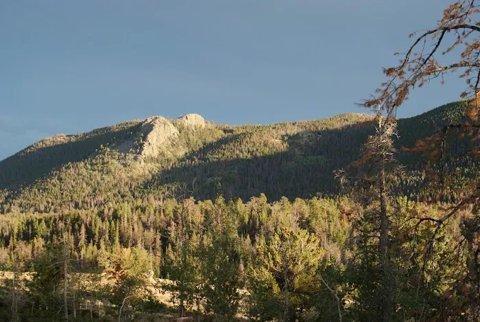 Yellow Pine Campground Picture 4
