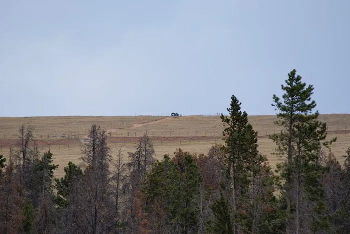Yellow Pine Campground Picture 6