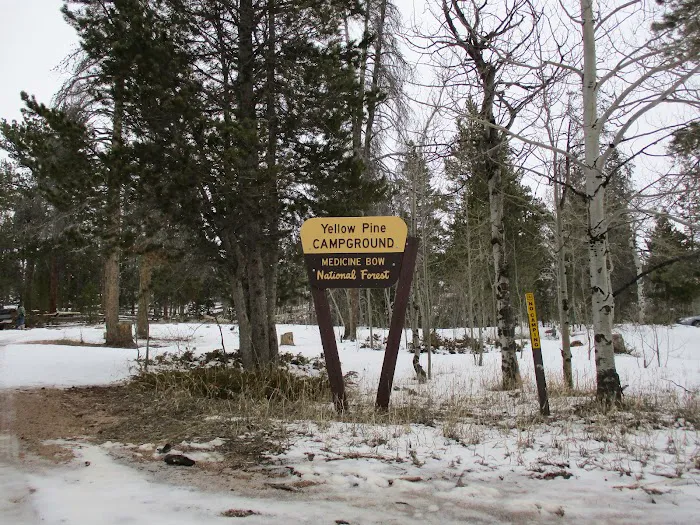 Yellow Pine Campground Picture 10