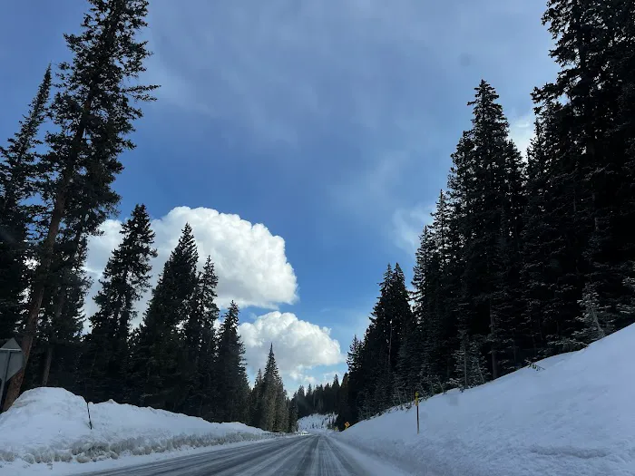 Grand Mesa Picture 4