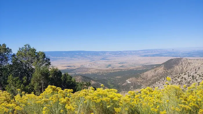 Grand Mesa Picture 7