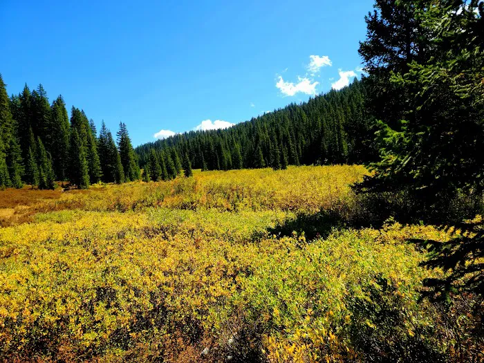 Grand Mesa Picture 3