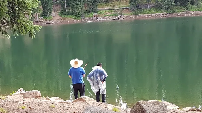 Weir and Johnson Campground Picture 4