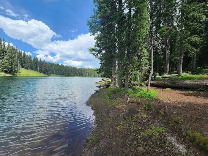 Weir and Johnson Campground Picture 6