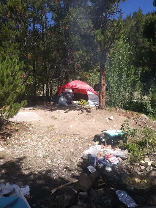 Twin Lake Dispersed Area Picture 2