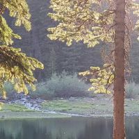 Twin Lake Dispersed Area ico
