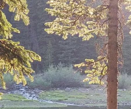 Twin Lake Dispersed Area