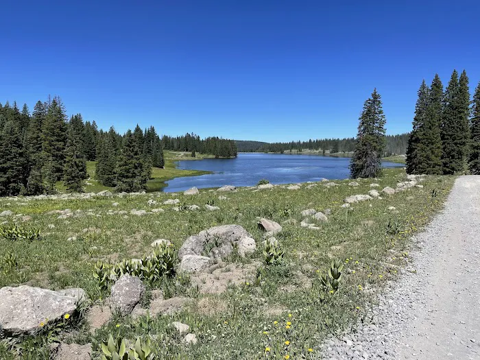Twin Lake Dispersed Area Picture 9