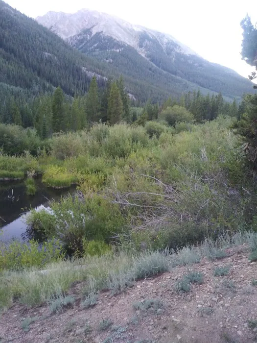 Twin Lake Dispersed Area Picture 8