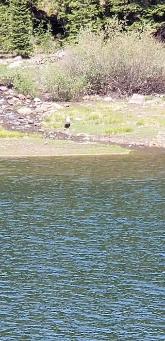 Twin Lake Dispersed Area Picture 10