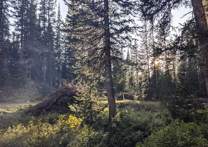 Big Creek Campground Picture 3
