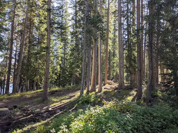 Big Creek Campground Picture 7